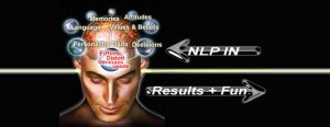 The NLP Process