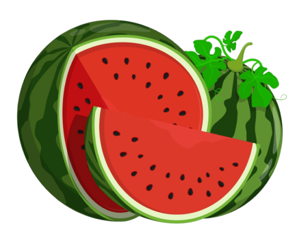 Decorative depiction of a Watermelon